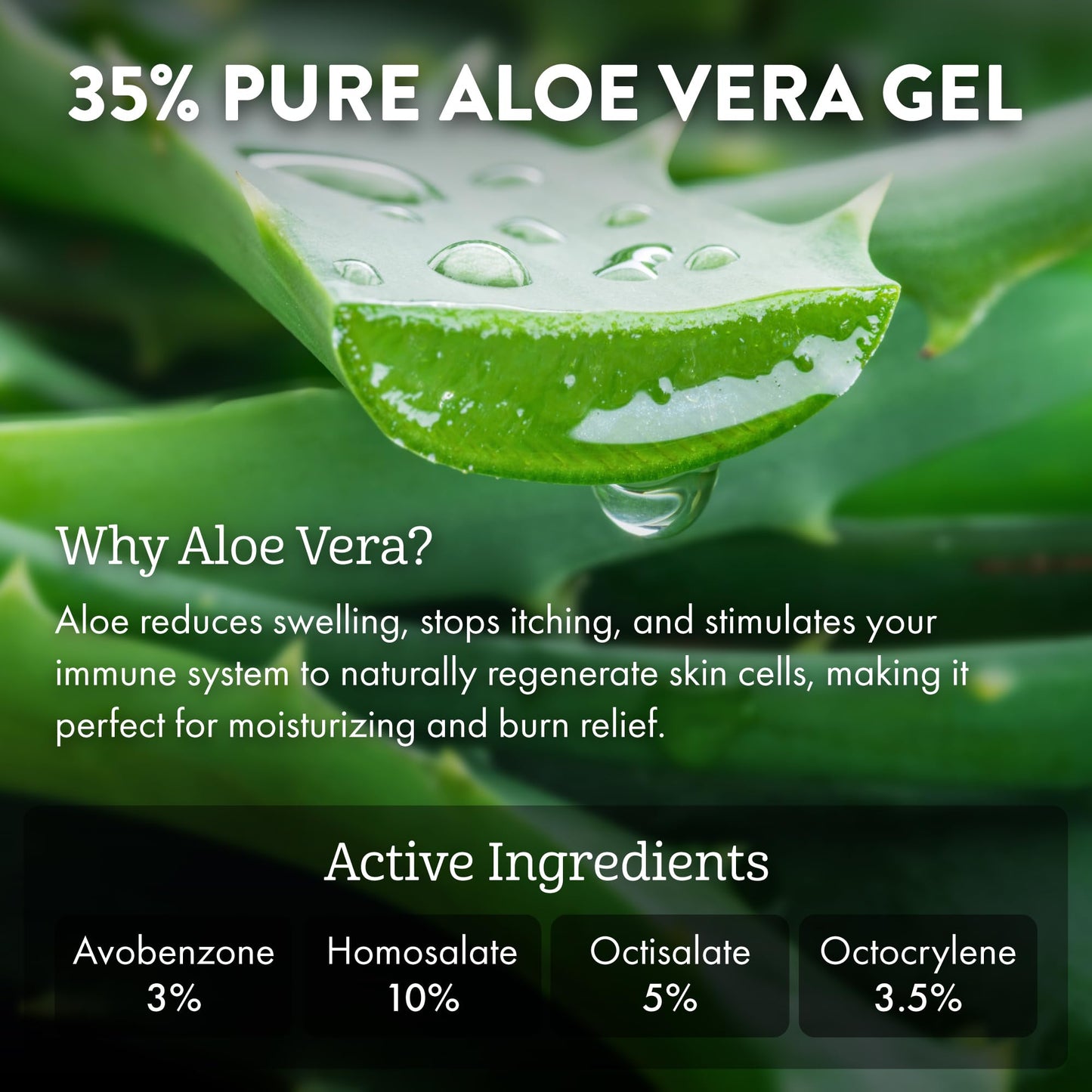 Aloe Up Sport Sunscreen Body Lotion SPF 50 – Broad Spectrum Sunblock With Aloe Vera Gel – Non-Greasy, Skin Sun Protection, No White Cast – Sunscreen – Fragrance-Free – 6 Oz, 2-Pack