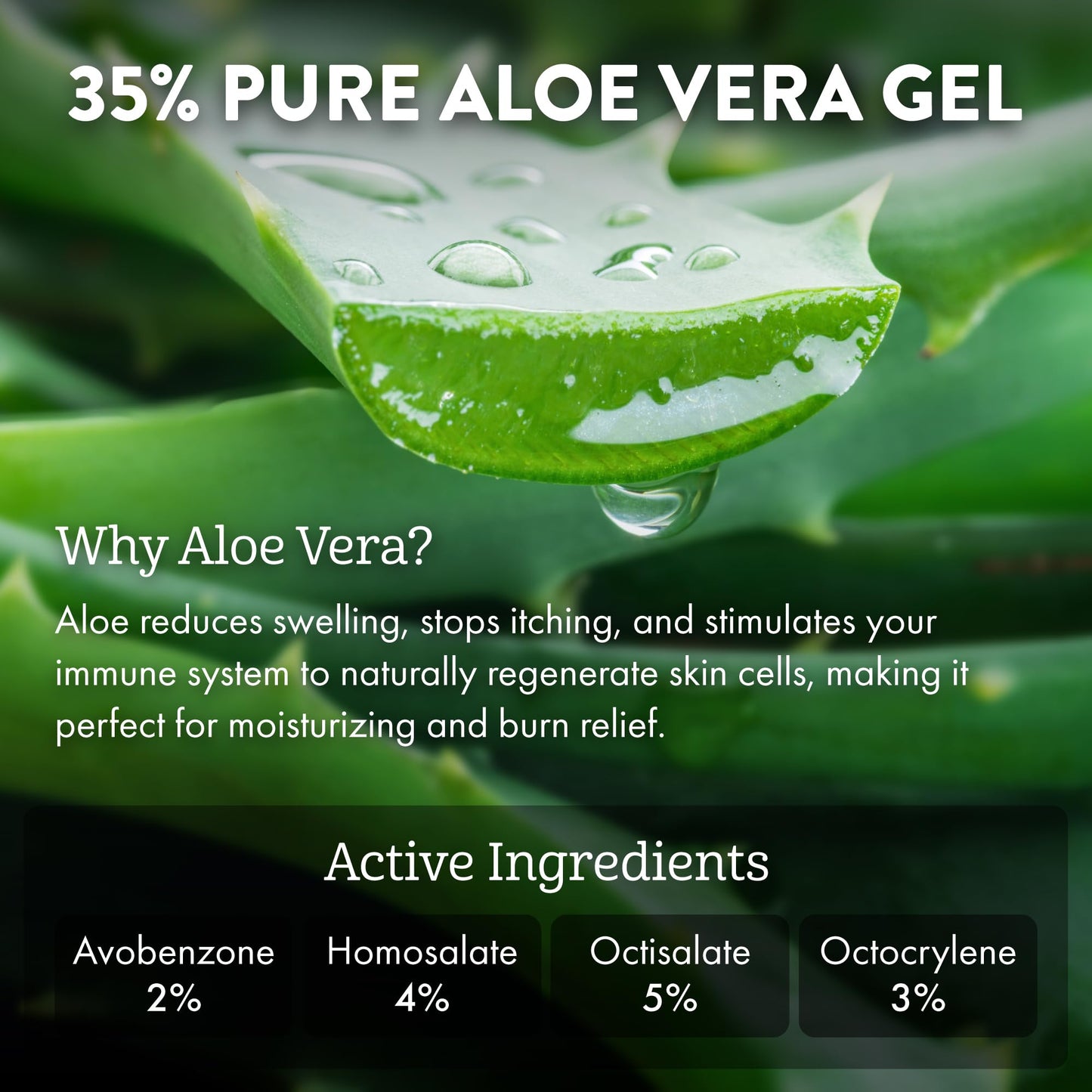 Aloe Up Sport Sunscreen Body Lotion SPF 50 – Broad Spectrum Sunblock With Aloe Vera Gel – Non-Greasy, Skin Sun Protection, No White Cast – Sunscreen – Fragrance-Free – 6 Oz, 2-Pack