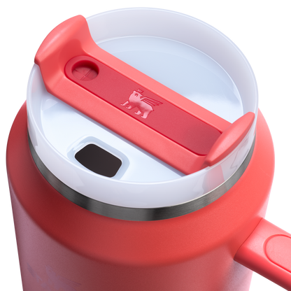 Splash-Resistant FlowState The Quencher H2.0 Flowstate Tumbler D033Q - Premium Stainless Steel Straw Cup for All-Day Hydration Detail